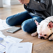 dog laying on the floor in front of a pile of papers