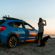 Piggy bank with saving category stickers